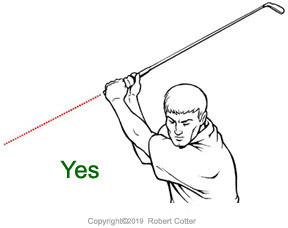 compact back swing